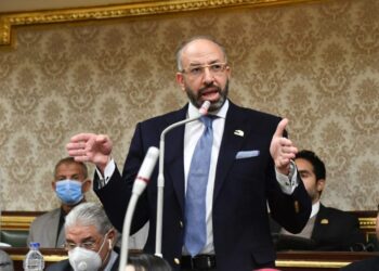 برلماني: مصر على الطريق الصحيح نحو الدول التي ينعم شعبها بالخير