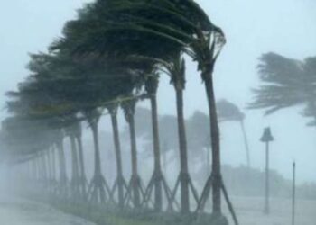 اليوم.. رياح مثيرة للرمال تضرب 5 محافظات