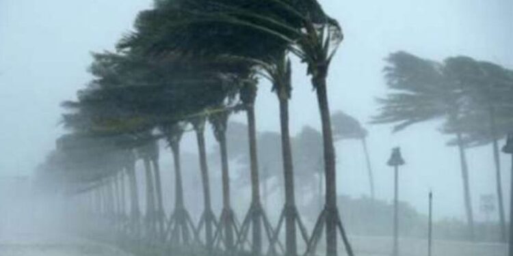 اليوم.. رياح مثيرة للرمال تضرب 5 محافظات