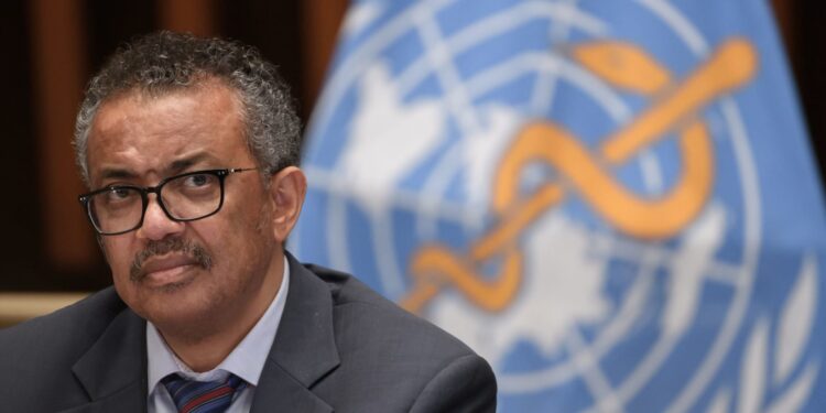 منتدى شباب العالم 2022.. مدير الصحة العالمية: المستقبل في يد الشباب