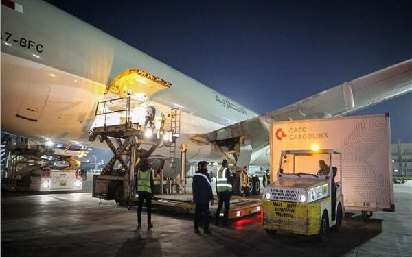 الصحة تستقبل مليون و843 ألف جرعة جديدة من لقاح«فايزر»| فيديو وصور