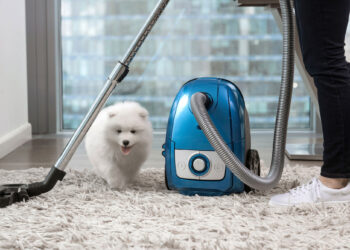 تنظيف السجاد بدون غسيل.. تخلصي من البقع بـ3 حيل