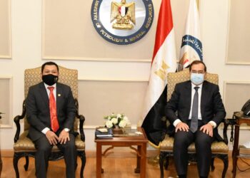 مباحثات مصرية ماليزية في مجال البترول والغاز.. تفاصيل