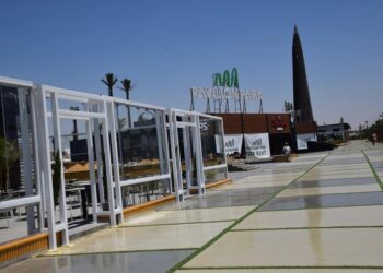 مدينة الشيخ زايد على طريق الازدهار.. تخصيص 199 فدانًا للمستثمرين والمطورين