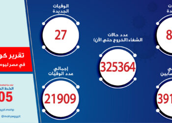 كورونا في مصر