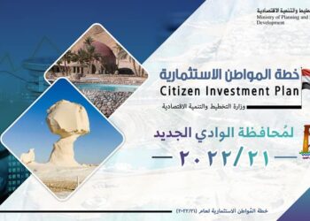 2.4 مليار جنيه استثمارات.. تفاصيل خطة المواطن الاستثمارية في الوادي الجديد | انفوجراف