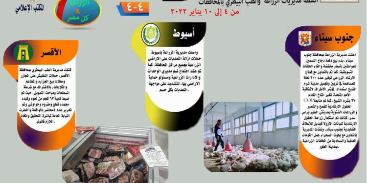 الزراعة تنشر انفوجراف لجهود المديريات في مصر