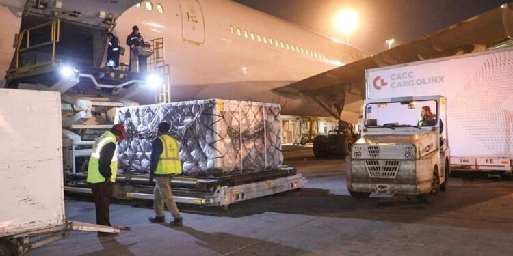 الصحة تستقبل 667 ألف جرعة لقاح«استرازنيكا» بمطار القاهرة الدولي.. صور