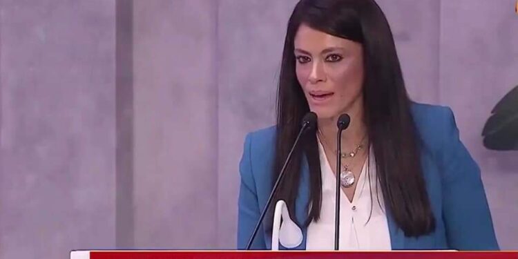 التعاون الدولي تنشر كلمة المشاط خلال جلسة الرئيس مع شركاء التنمية