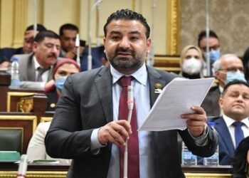 حقوق إنسان النواب: القيادة السياسية تعي أهمية التفاف المصريين وتوحد رايتهم