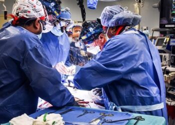 لأول مرة.. نجاح زراعة قلب خنزير في جسم إنسان