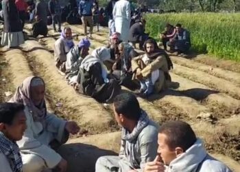 جانب من حادث أشمون