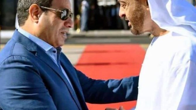 الرئيس السيسي: مصر تدين أي عمل إرهابي يستهدف أمن واستقرار الإمارات
