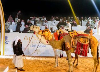 فندق للإبل الأول من نوعه.. خدمة 5 نجوم ووجبات فاخرة وهذا سعره