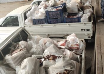 غير صالحة للاستهلاك الادمي.. ضبط 3 طن لحوم ودواجن ببعض المناطق بالجيزة