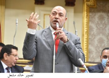 تضامن النواب: مشروع صكوك الإطعام بحياة كريمة سيحقق نجاحات كبيرة