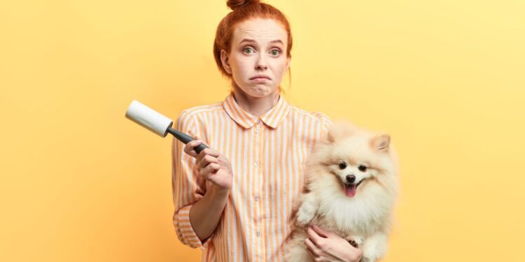 5 طرق ذكية لتنظيف شعر الحيوانات الأليفة داخل منزلك