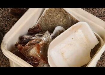 لضبط لحوم مجهولة المصدر.. تشميع مطعم مأكولات سورية شهير بالطالبية