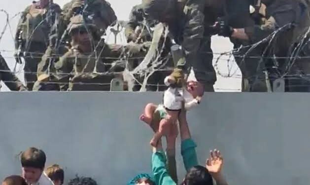 عودة الابن الضال.. العثور على رضيع أفغانستان الذى فقده والداه لحظة هروبهما بالمطار