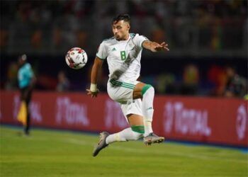 عجائب القارة السمراء.. 13 لاعبًا بدون نادي في أمم إفريقيا