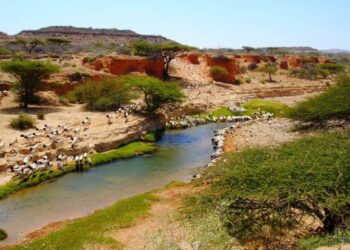 الجفاف يهدد حوالي مليون إنسان في إقليم أرض الصومال.. والحكومة تعلن الطوارىء