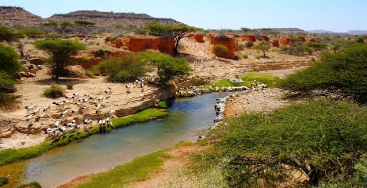 الجفاف يهدد حوالي مليون إنسان في إقليم أرض الصومال.. والحكومة تعلن الطوارىء
