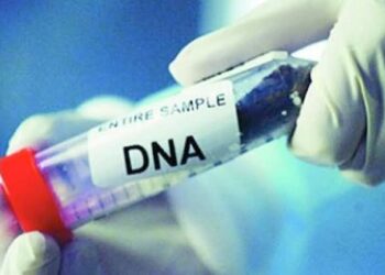 تحليل DNA لكشف ملابسات العثور علي جثة طفل في 15 مايو
