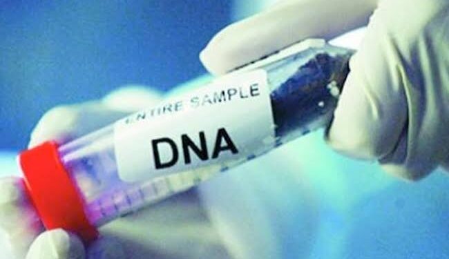 تحليل DNA لكشف ملابسات العثور علي جثة طفل في 15 مايو
