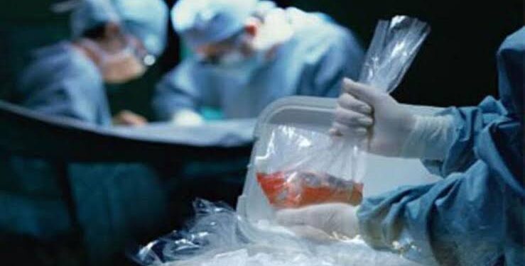 اليوم .. الحكم علي شبكة الاتجار بالبشر وبيع وزراعة الأعضاء بمستشفيات شهيرة