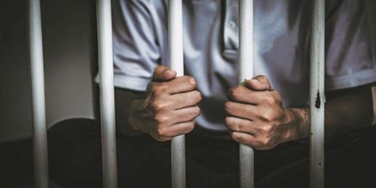 قاتل الفتاة الدنماركية بالشيخ زايد: عاشرتها جنسيًا وضربتها عشان أسرقها