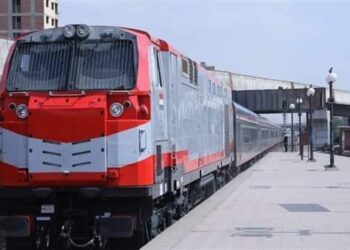 حادث مروع .. تفاصيل بتر ساق سيدة انزلقت من القطار في القناطر