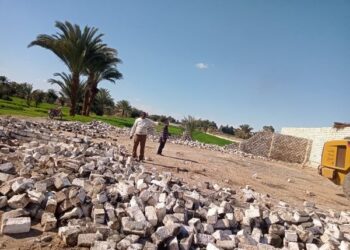 إزالة 256 حالة تعدي على أراضي أملاك الدولة بأسيوط منذ بدء الموجة الـ 19