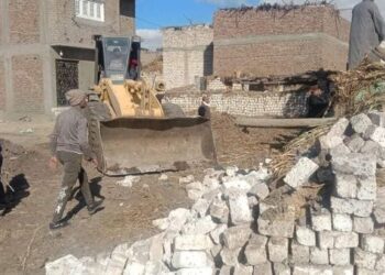 إزالة 46 حالة تعدي بمركزي المنيا وملوي ضمن الموجة 19 لإزالة التعديات