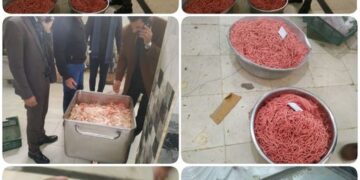 مجهولة المصدر.. ضبط أكثر من ٧ طن لحوم مفرومة وكبدة مجمدة بدمنهور