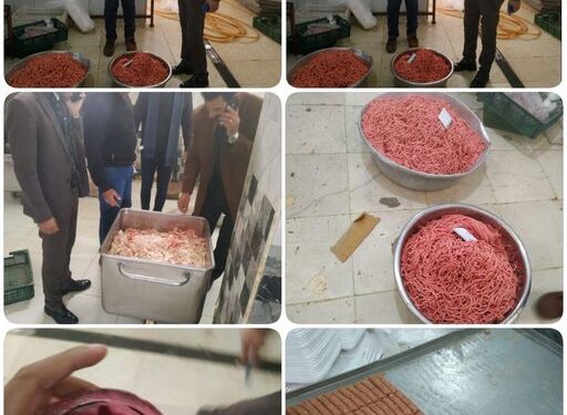 مجهولة المصدر.. ضبط أكثر من ٧ طن لحوم مفرومة وكبدة مجمدة بدمنهور