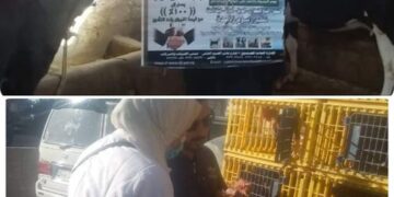 خلال الأسبوع الثاني من يناير.. بيطري البحيرة يعالج ٣٦٠٤٧ رأس ماشية