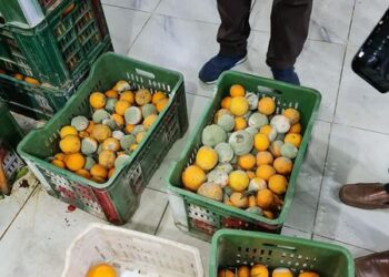 غير صالحة للاستهلاك الآدمي.. صحة الدقهلية تعدم 1000 كيلو مواد غذائية