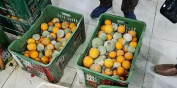 غير صالحة للاستهلاك الآدمي.. صحة الدقهلية تعدم 1000 كيلو مواد غذائية