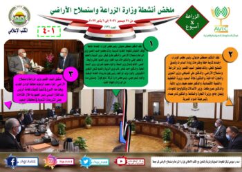 الزراعة المصرية في قلب الوطن العربي.. خطوات هامة لتعزيز التعاون المشترك | انفوجراف