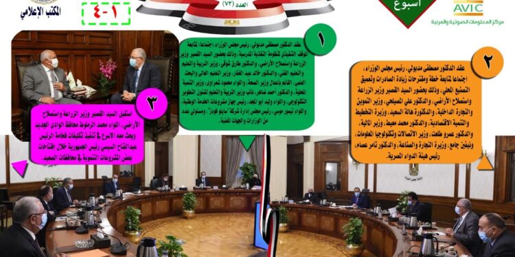 الزراعة المصرية في قلب الوطن العربي.. خطوات هامة لتعزيز التعاون المشترك | انفوجراف