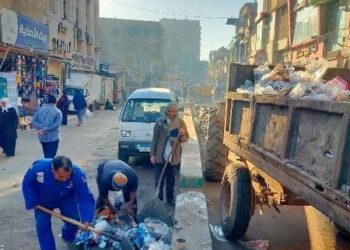 للإرتقاء بخدمات المواطنين.. تكثيف حملات النظافة وتجميل الشوارع بالشرقية