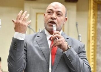 تضامن النواب: عهد الرئيس السيسي تميز بوحدة وتماسك كل المصريين