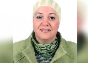 النائب دينا إسماعيل: عرض الداخلية لجهودها في عام وسام شرف للمصريين