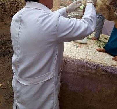 خلال ديسمبر.. تحصين 213 ألف و 870 طائر ضد أنفلونزا الطيور بالشرقية