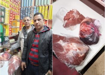 مجهولة المصدر.. ضبط ٧٢ كرتونة لحوم مستوردة بالبحيرة