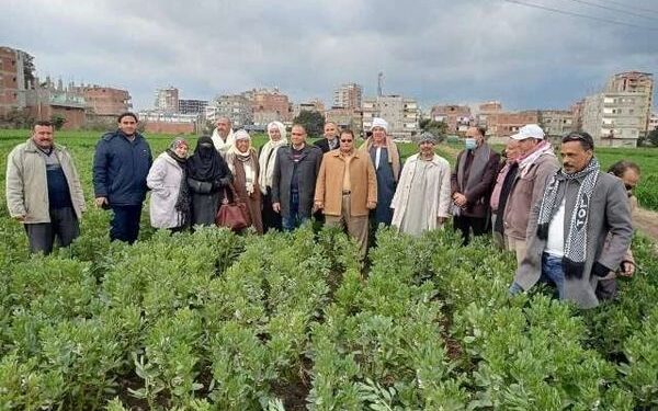 مدرسة حقلية عن زراعة الفول البلدي لمزارعي قرية ناطوره بكفر صقر بالشرقية