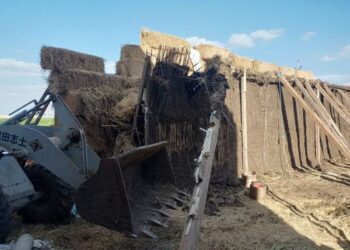 ضمن الموجة الـ 19 .. إزالة 11 حالة تعدى بالمنوفية