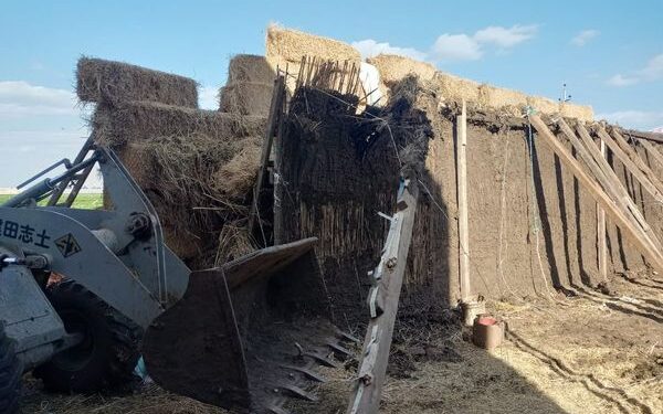 ضمن الموجة الـ 19 .. إزالة 11 حالة تعدى بالمنوفية