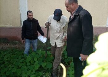 “اتحضر للأخضر”.. حملة لتشجير مدارس وميادين ساحل سليم بأسيوط