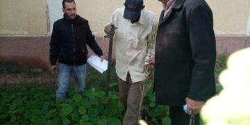 “اتحضر للأخضر”.. حملة لتشجير مدارس وميادين ساحل سليم بأسيوط
